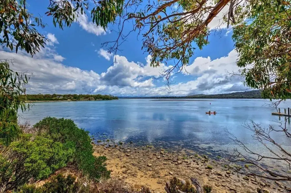 Swan Cove