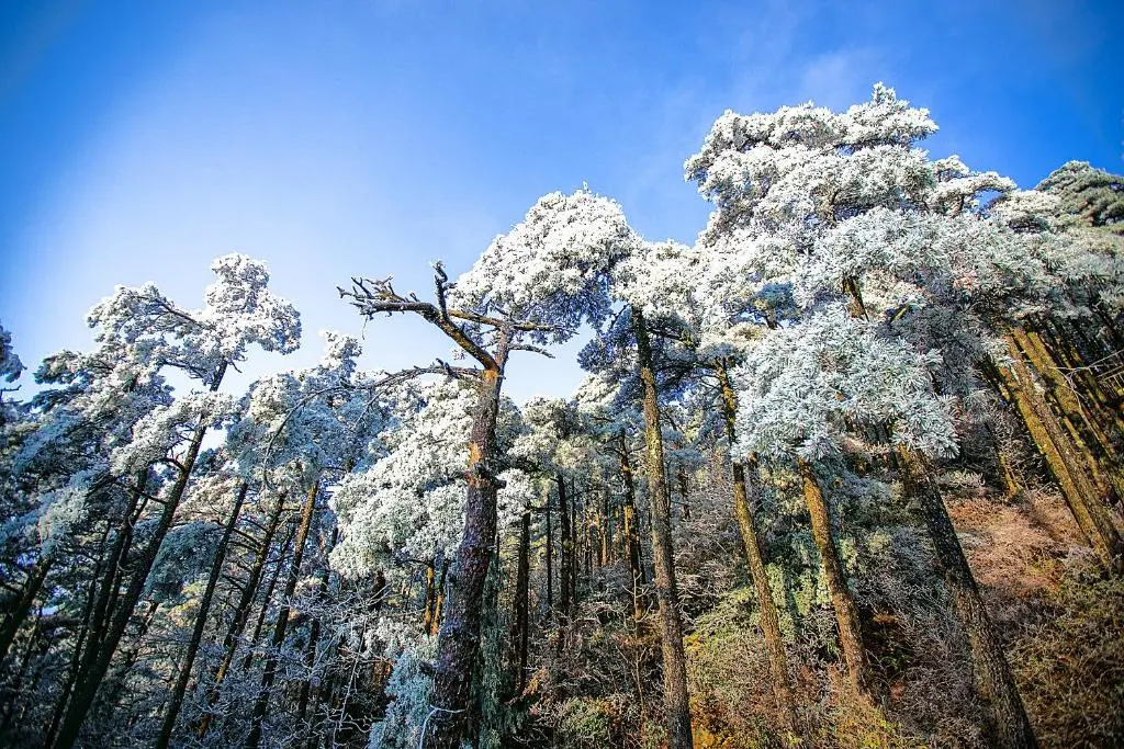 Lushan Yilu Guest House Tingtao