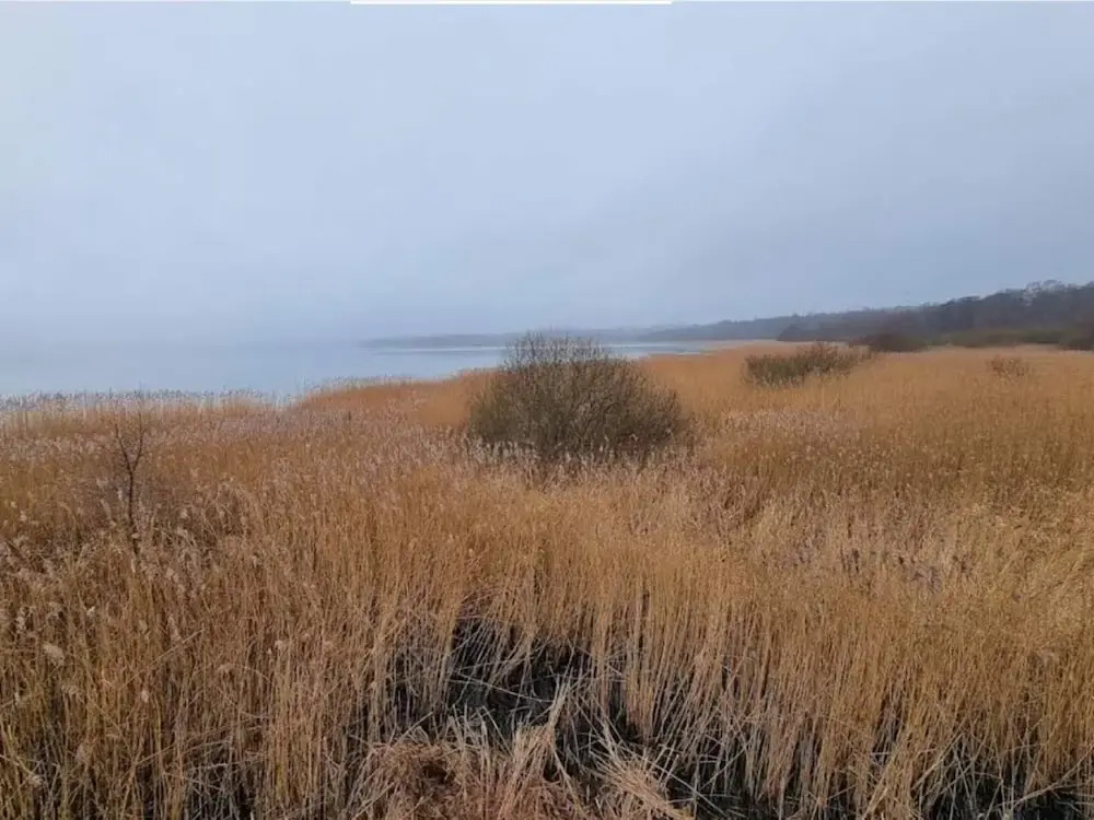 7 Person Holiday Home in Ebeltoft