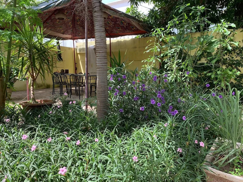 Studio in Tropical Garden