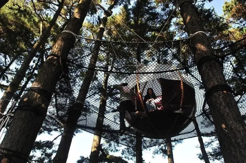 Les Nids du Parcabout