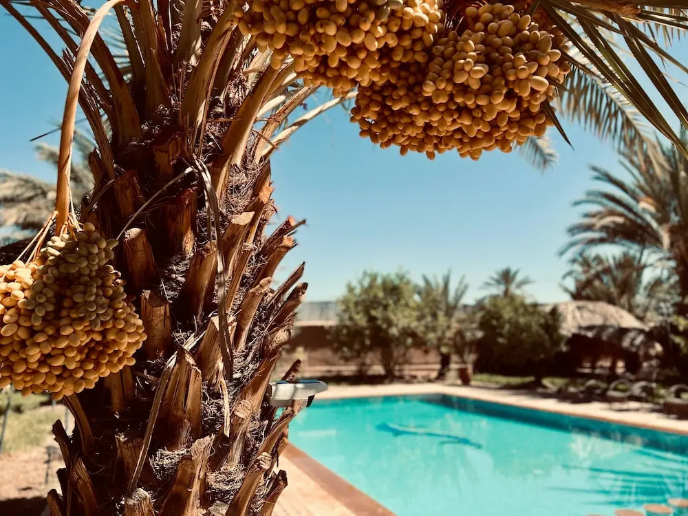 Kasbah des Cyprès