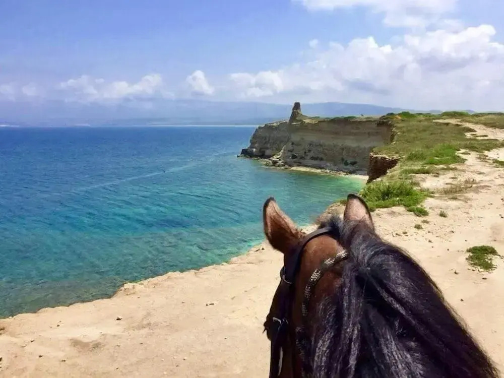 Horse Country Resort Congress & Spa - Hotel Medar
