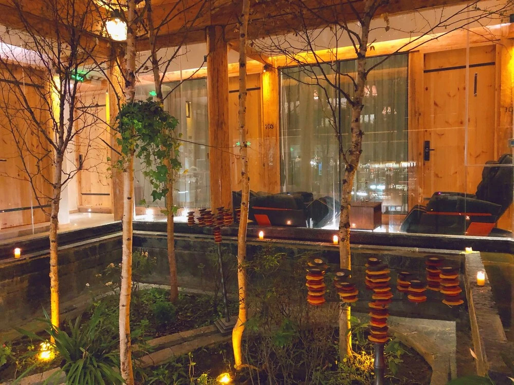 Tree Space Hotel