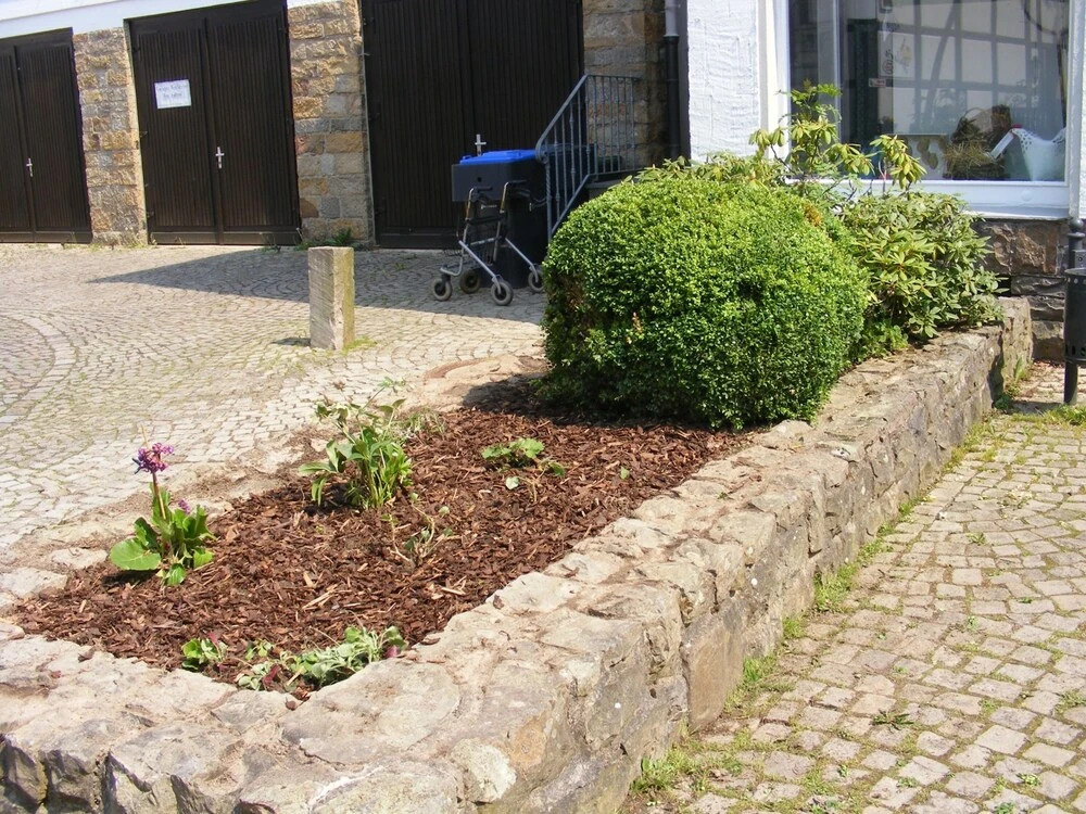 Berggarten Schwalenberg