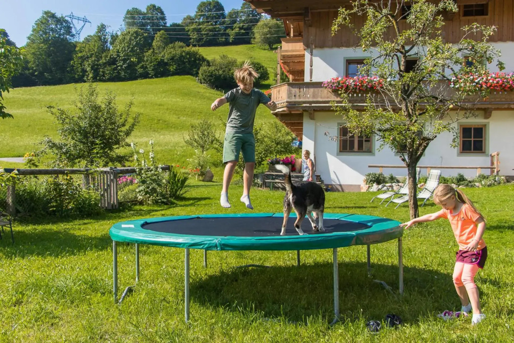 Bio-Bauernhof Niederlehen