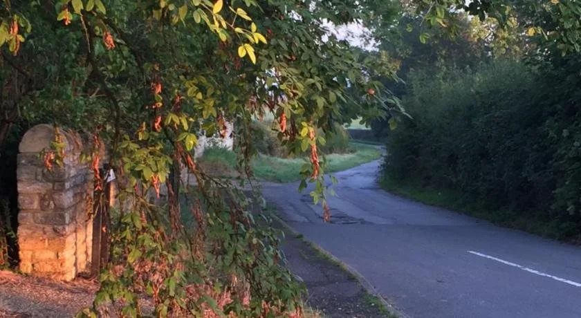 The Cherry Orchard B&B