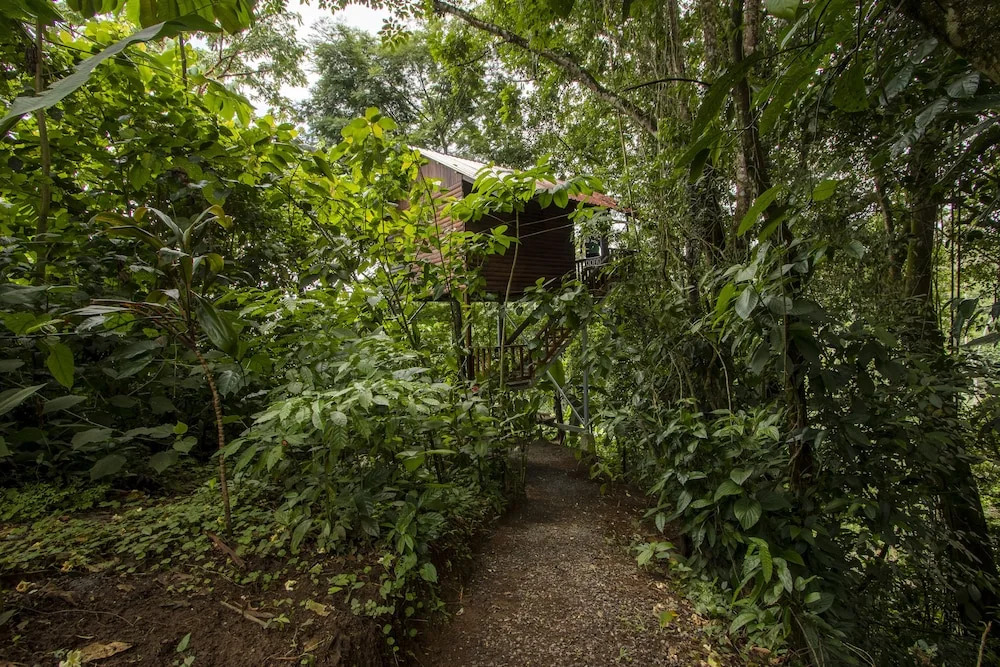 La Fortuna Gardens Lodge