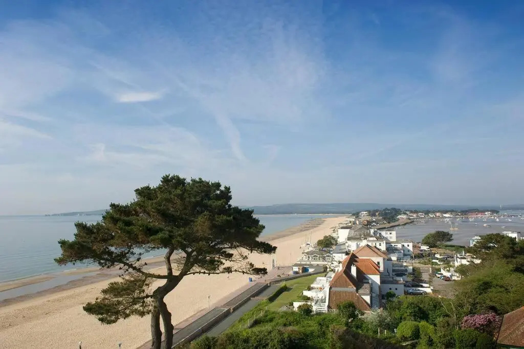 Bournecoast: Lovely Annex With Patio Nr Beach-5286