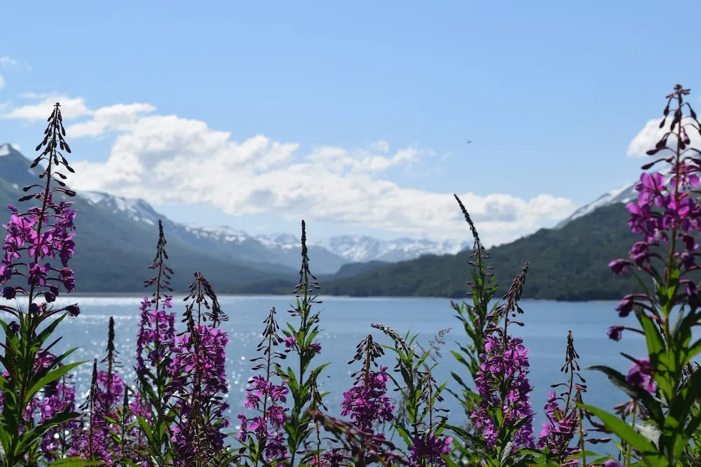 Zachar Bay Lodge