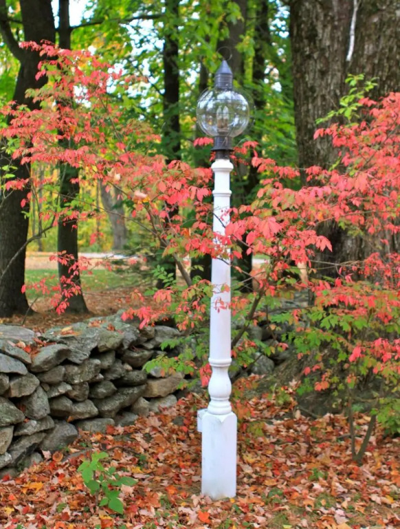 Maguire House Bed and Breakfast