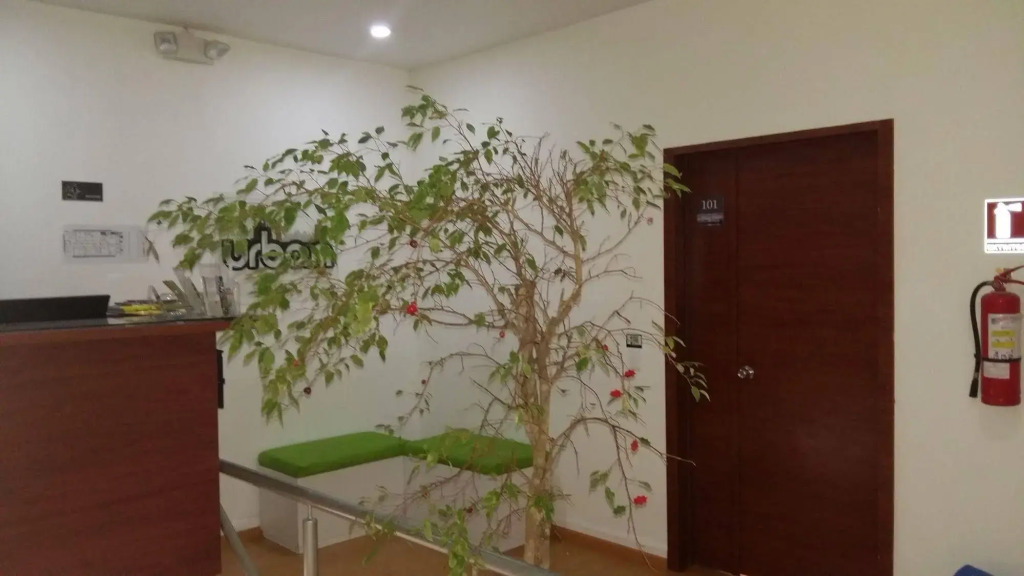 Hostal Urban Home