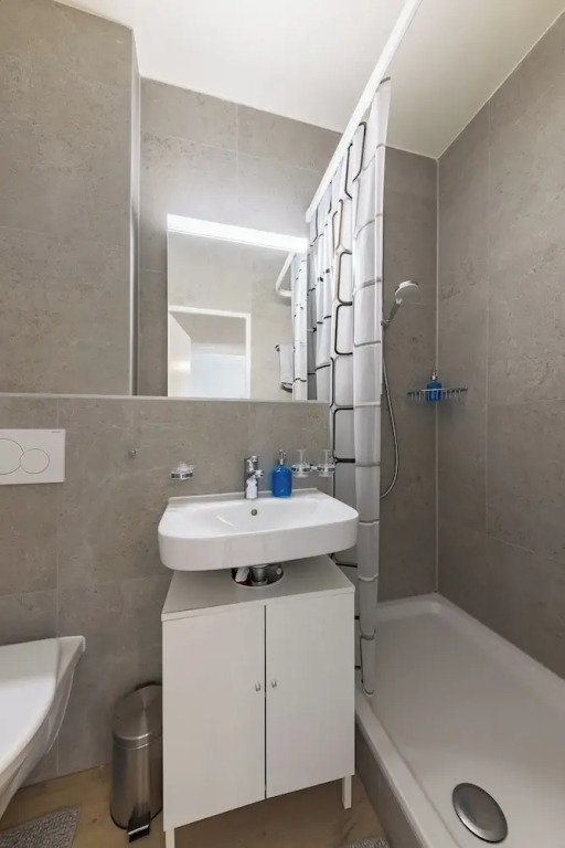 Swiss Flat Rental