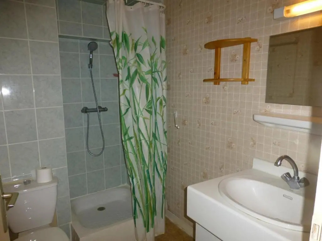 Appartement Brides-les-Bains, 1 pièce, 2 personnes - FR-1-512-123