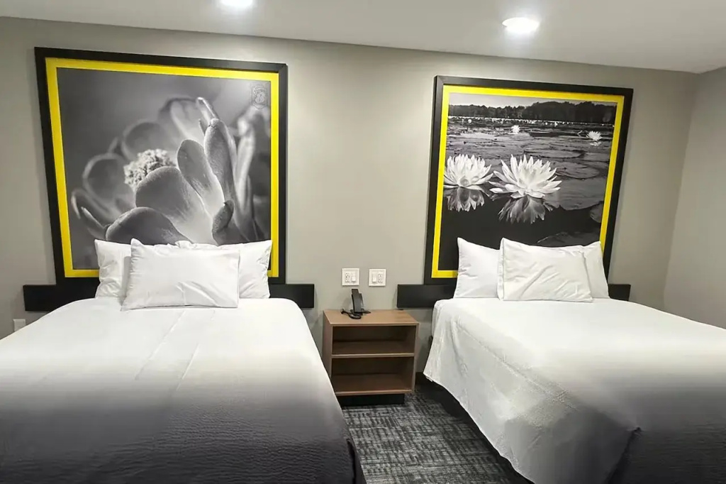 Super 8 BY Wyndham Lubbock Airport
