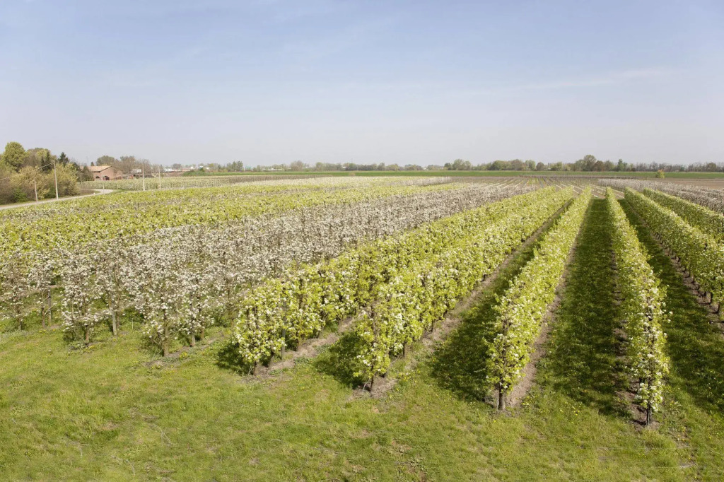 Agriturismo Dosso al Porto
