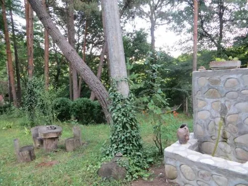 Guest House Kamea