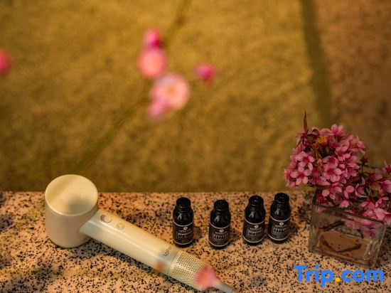 Anxu · Banshan Courtyard Wenquan Homestay