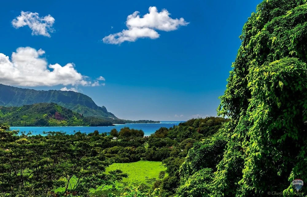 The Plantation at Princeville