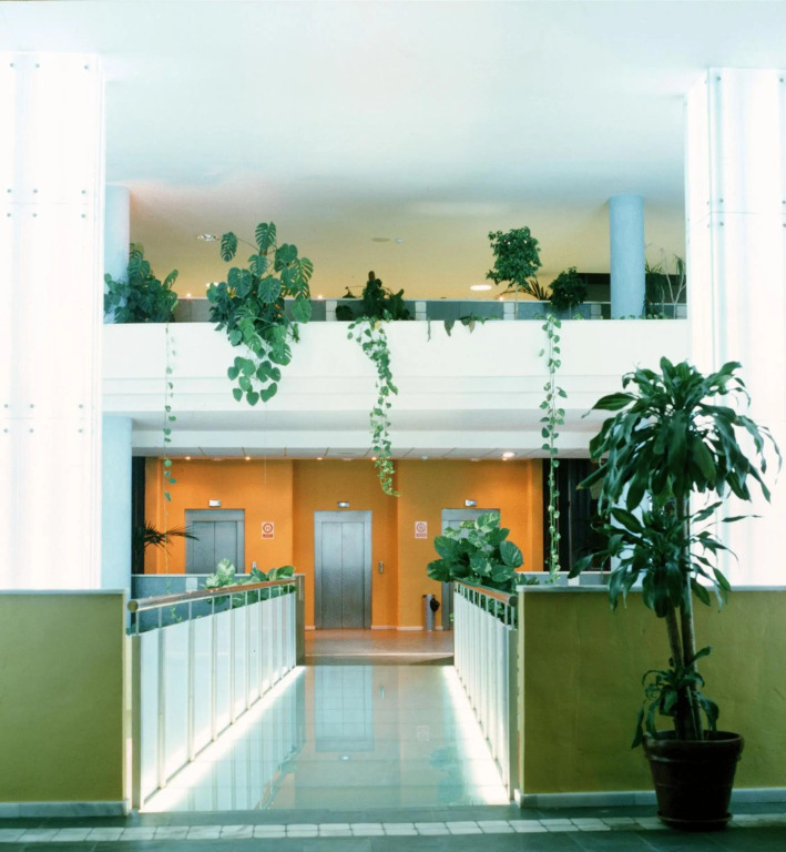 Advise Hotels Reina