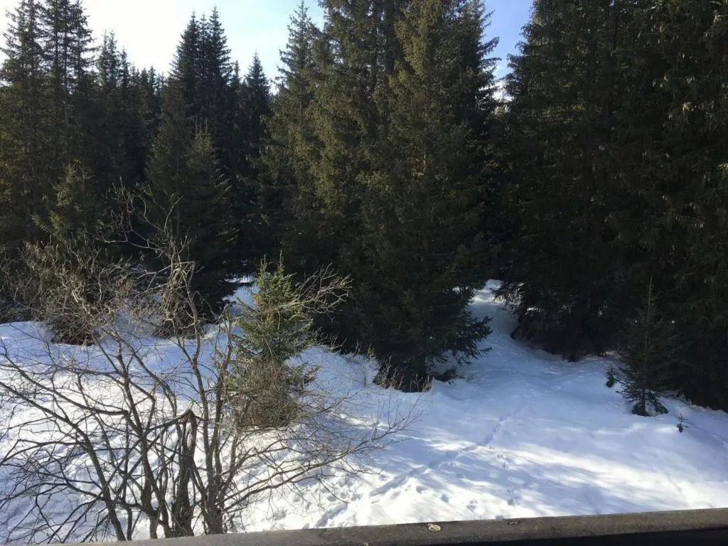 Appartement Courchevel 1850, 2 pièces, 6 personnes - FR-1-514-27