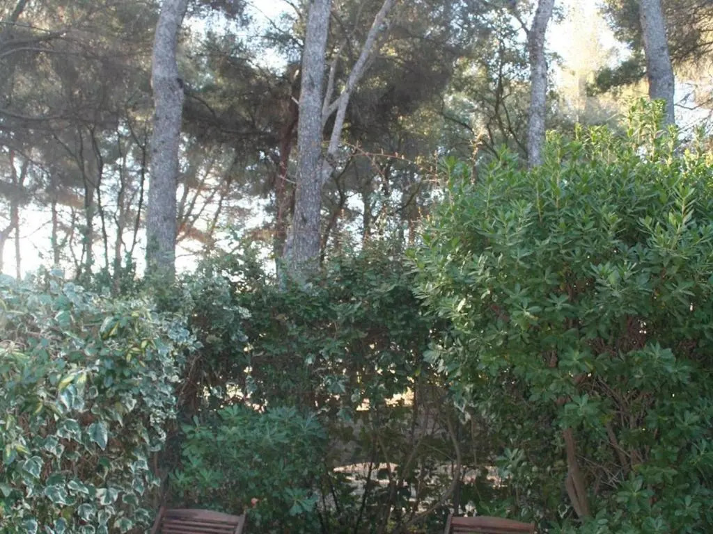 Maison Bormes-les-Mimosas, 1 pièce, 4 personnes - FR-1-610-41