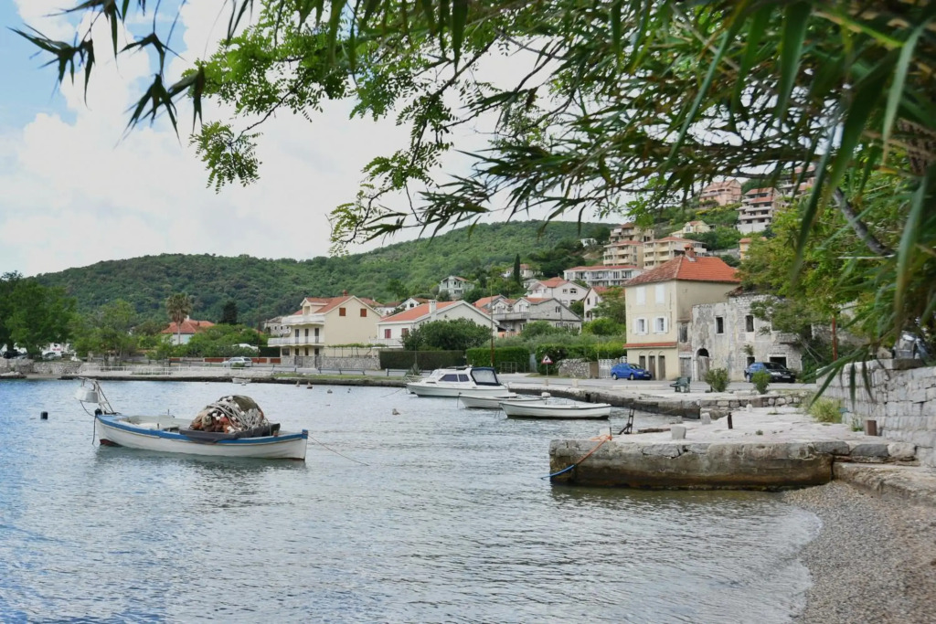 Hajdi