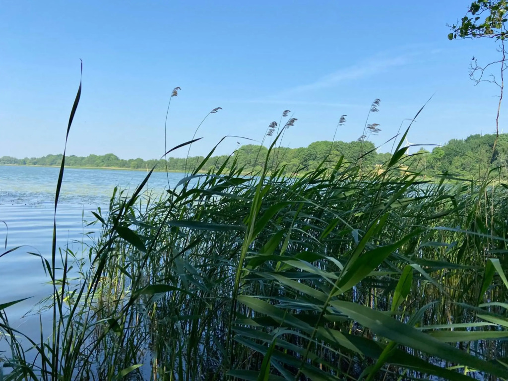K 357 - Monteurzimmervermittlung und Vermietung Lübeck