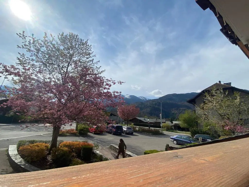 Appartement Samoëns, 3 pièces, 4 personnes - FR-1-624-54