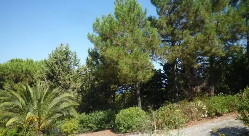 Villa E Sette Nave