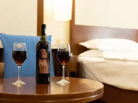 Vias International Hotel (Panzhihua Wanda Plaza)