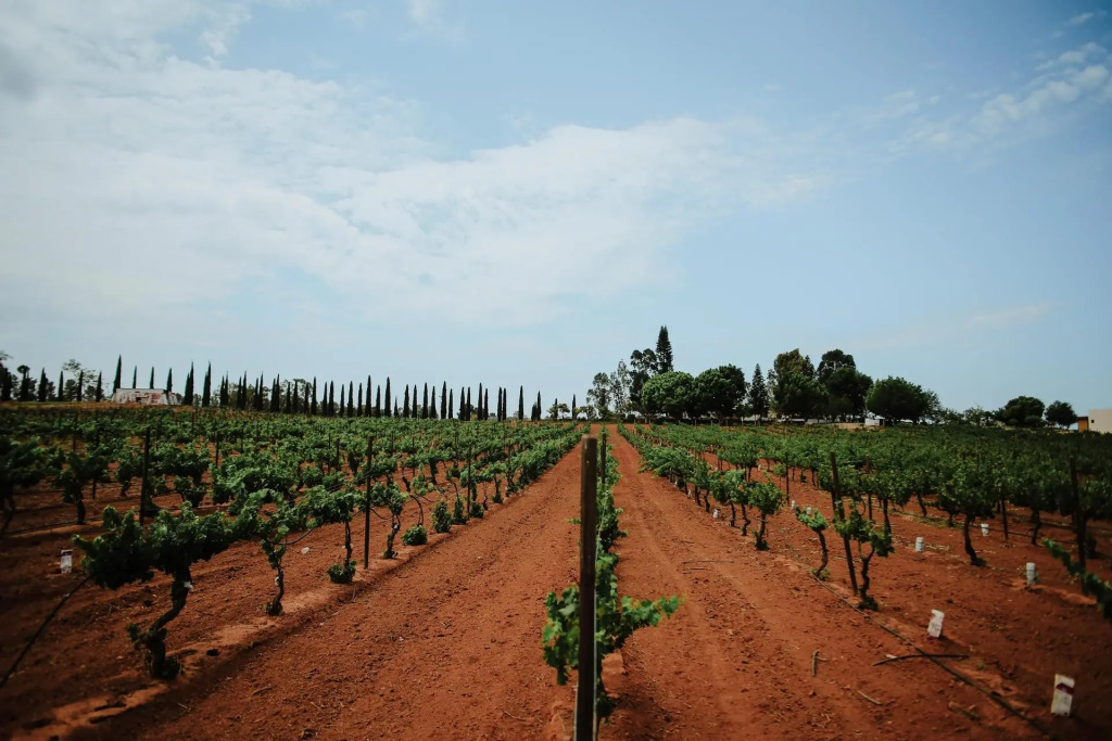 Rancho el Parral