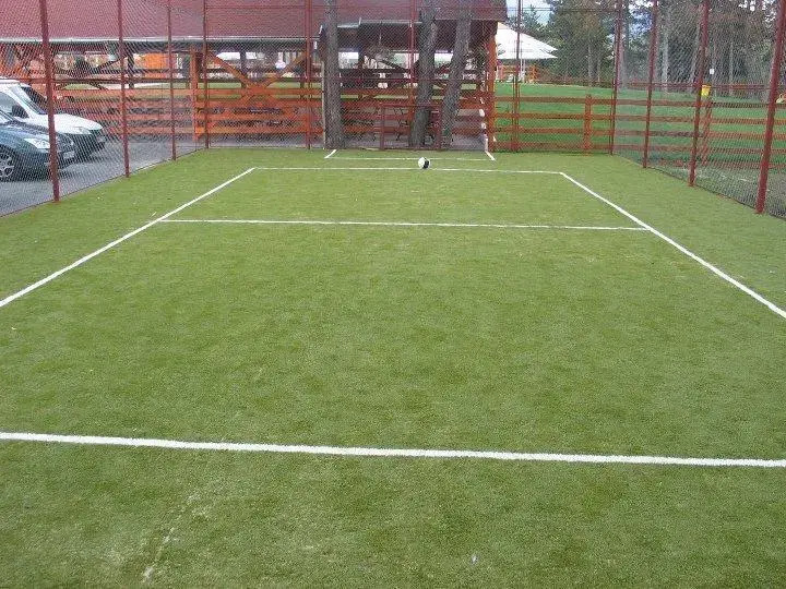 Pensiunea Rustic