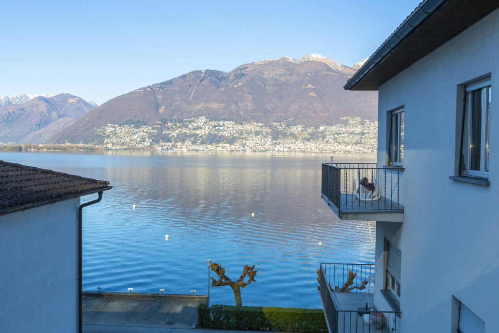 Garden on the lake 2