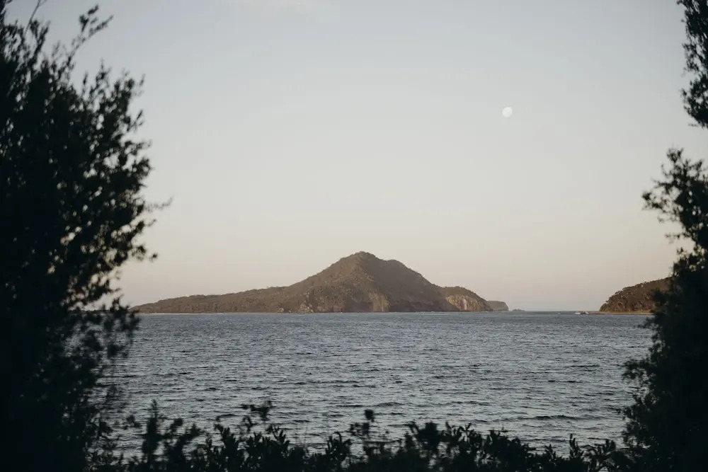 Salt at Shoal Bay