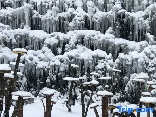 Xueguxi Shuilongteng Inn