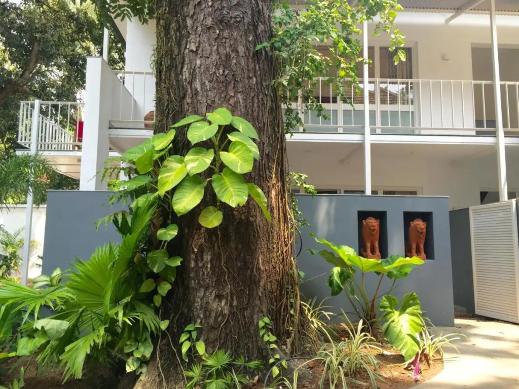 Trinity At Fort Cochin