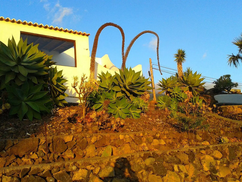 Bungalows Canary Islands