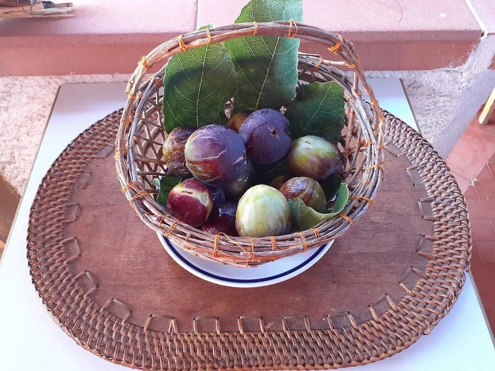 Bed and Breakfast La Reale