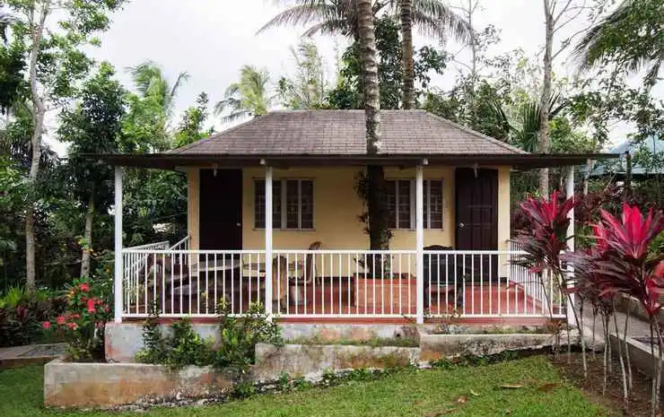 D-Zone Backpackers Inn - Hostel