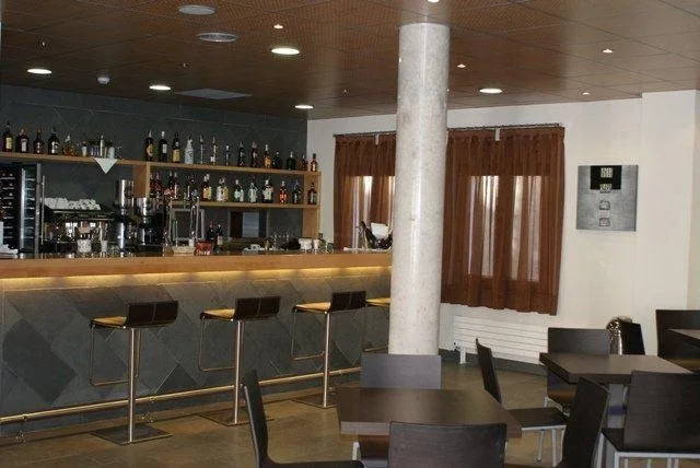 Hotel Mataelpino