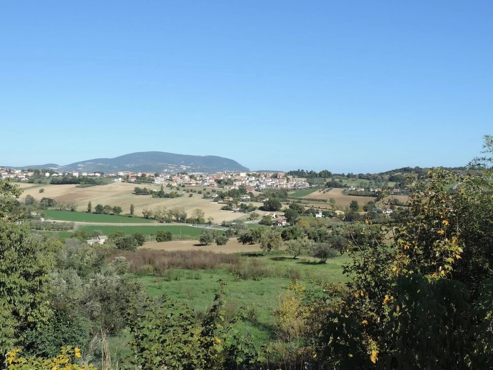 Apartment With one Bedroom in Castelfidardo, With Wonderful sea View a