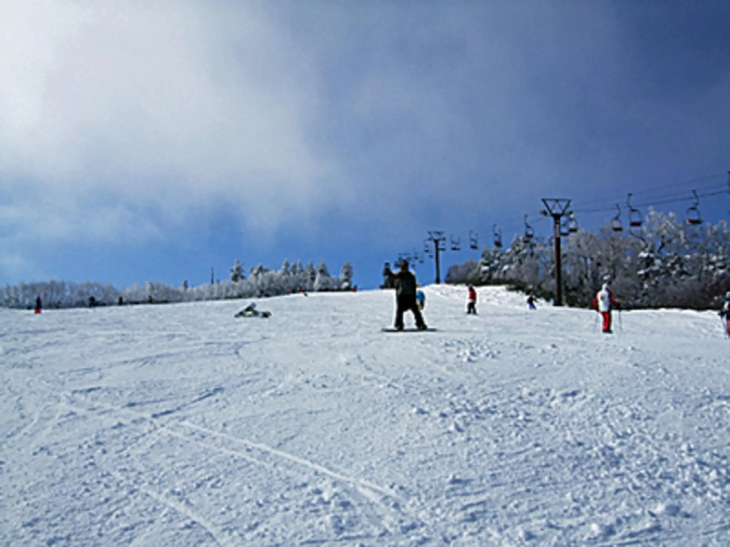 Yuzawa Ski House