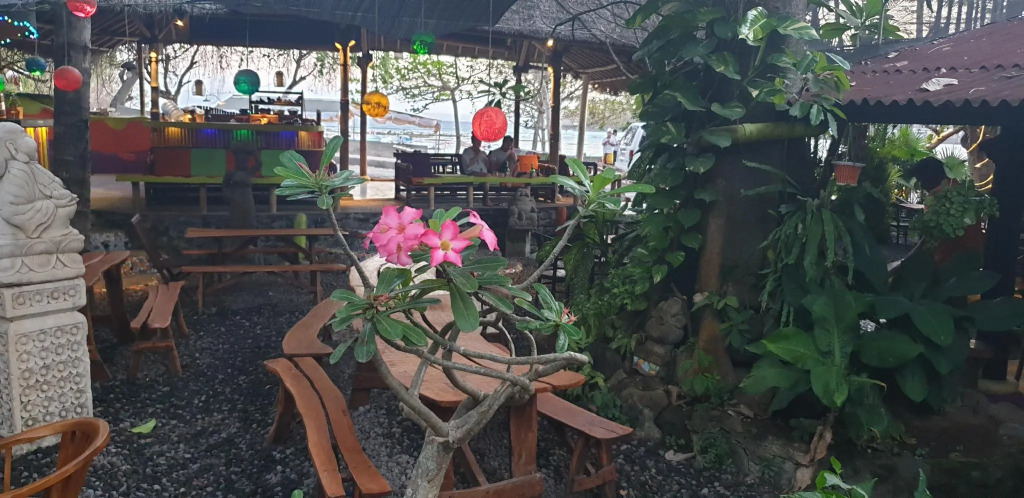 Topi inn