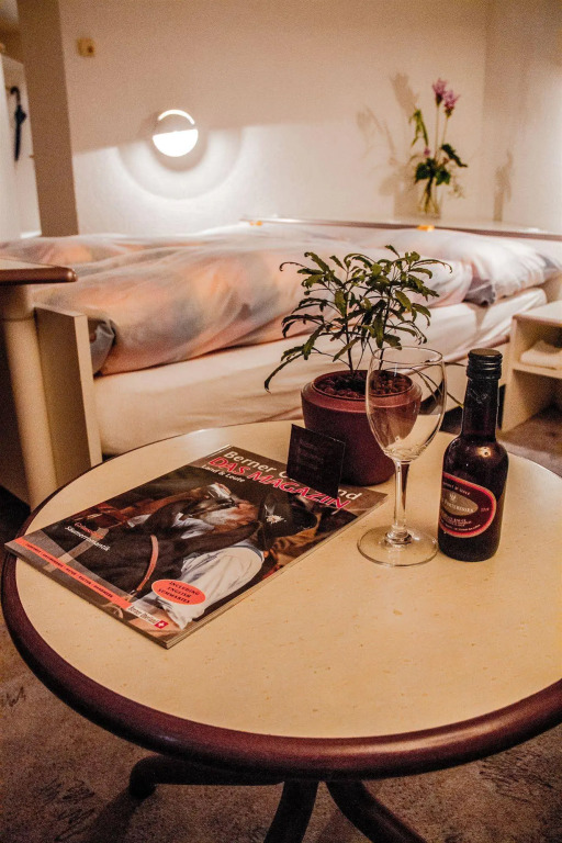 Hotel Viktoria Eden