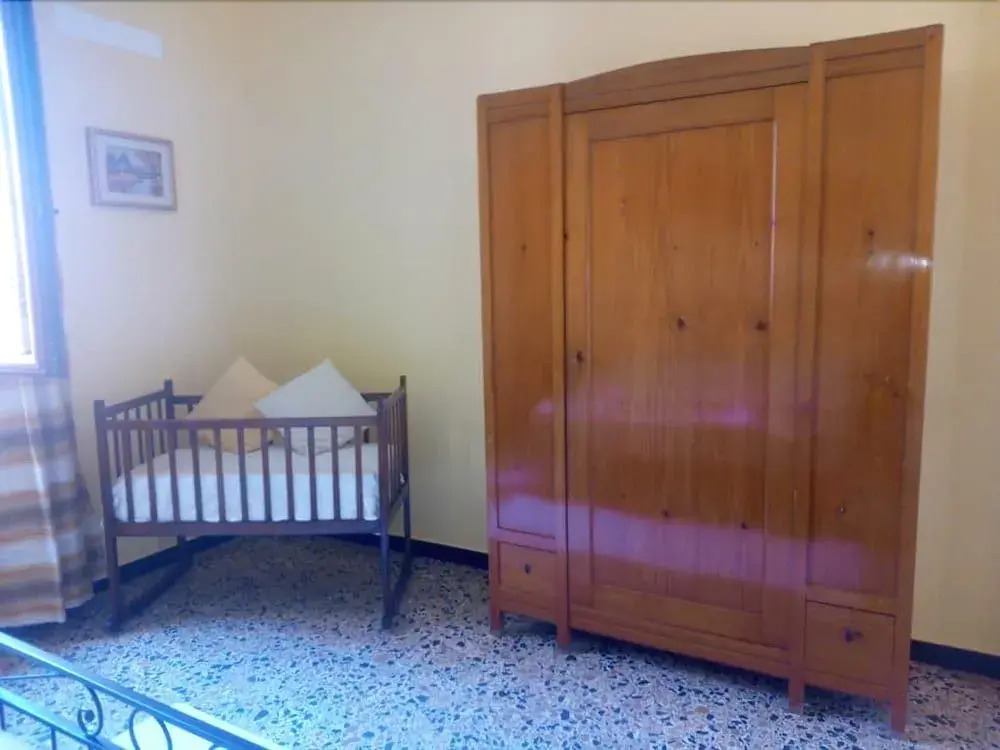 LAgrifoglio di Emy