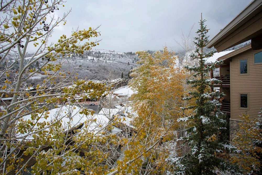 Trail's End Lodge at Deer Valley Resort - Four Bedroom Residence with Spa #505 4 Condo