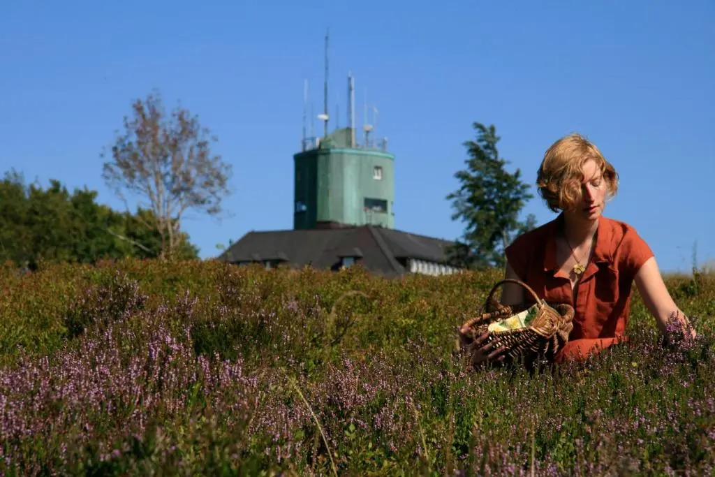 Das Nest Winterberg