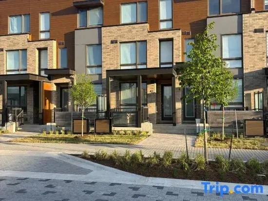 Cozy 1-Br Basement Suite in One of Toronto’s Prime Neighborhoods
