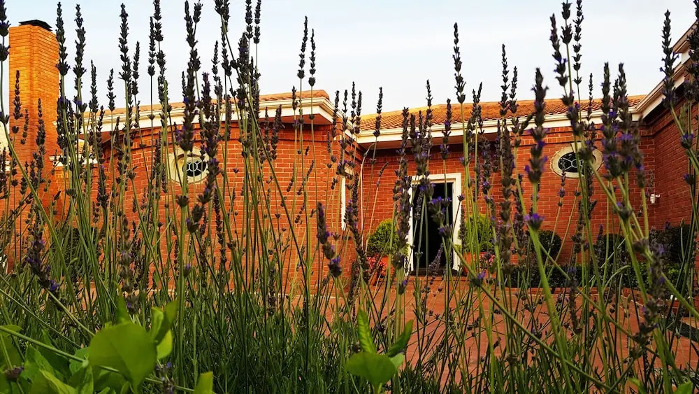 Villa Adalbert Guesthouse
